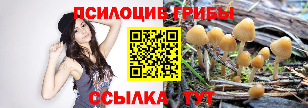 Первоуральск  Галлюциногенные грибы мухоморы  Вход с VPN  Псилоцибиновые грибы Psilocybine cubensis 